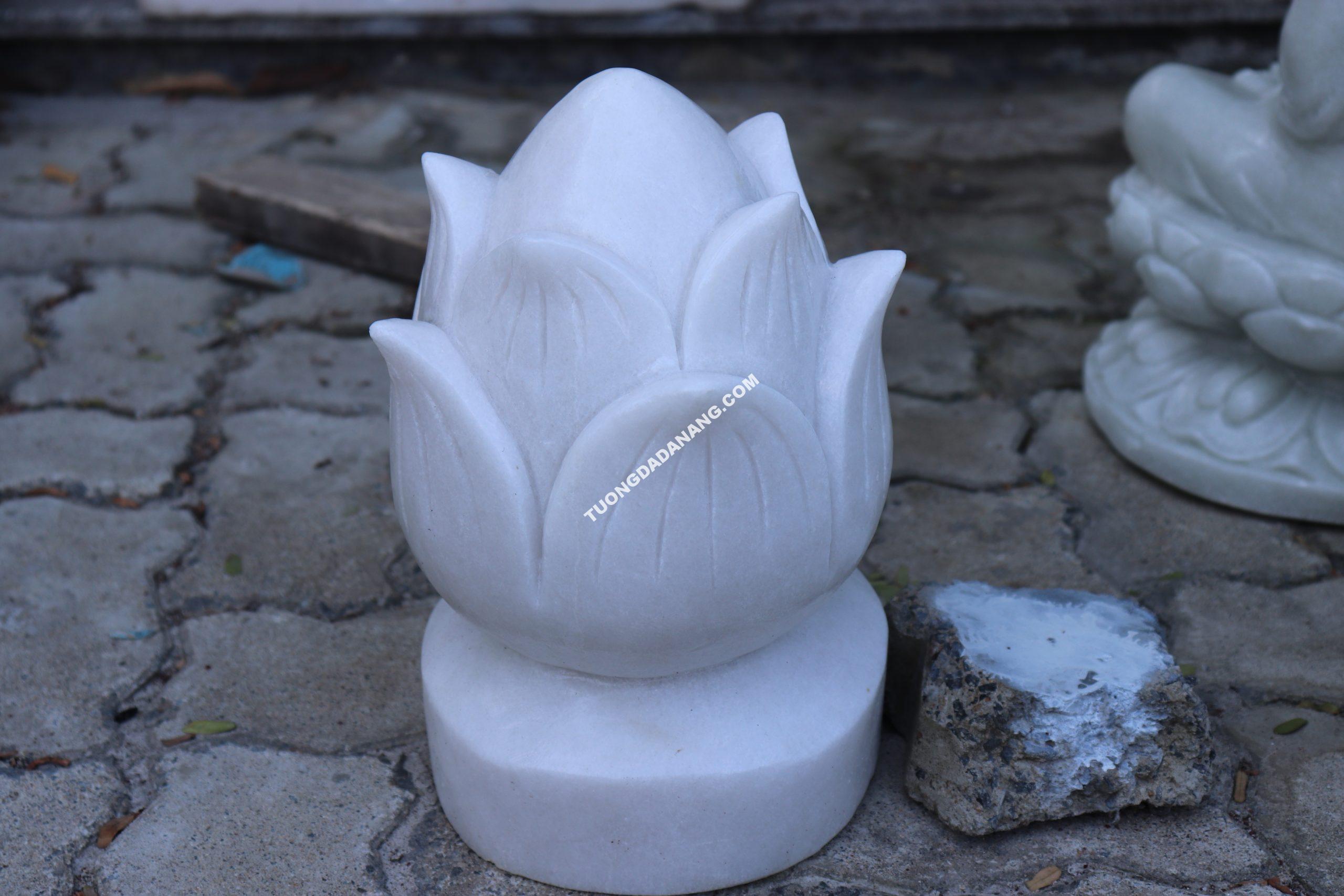 Búp Sen 5 Cánh Búp Sen 5 Cánh